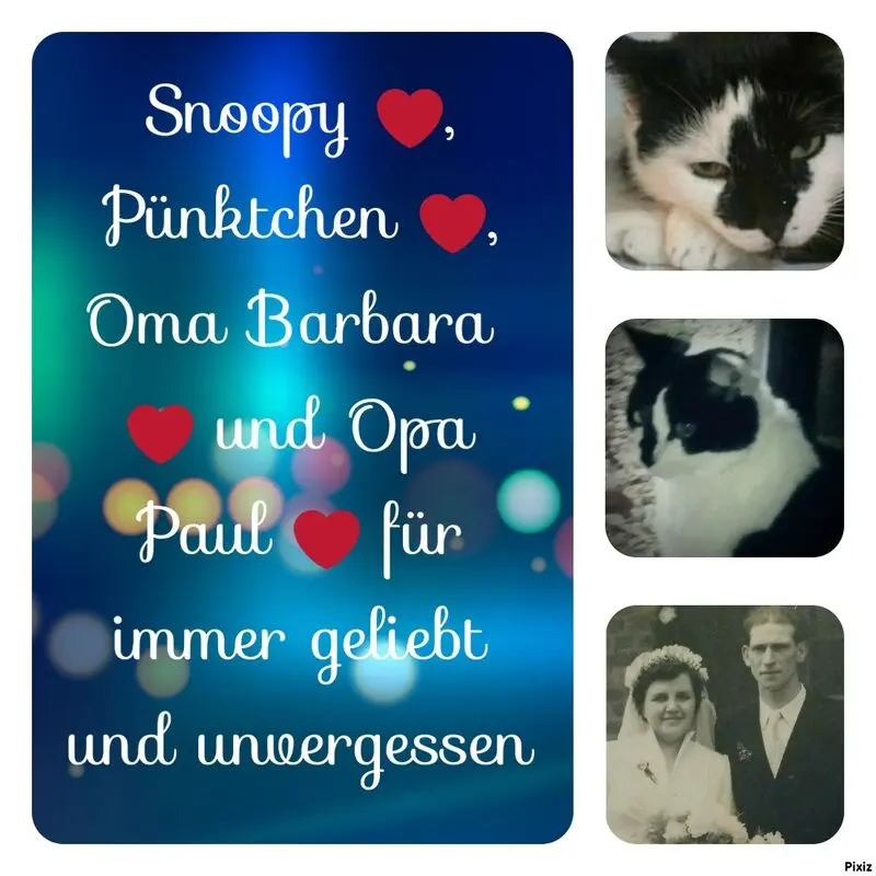 Condolence image of Snoopy +Pkt