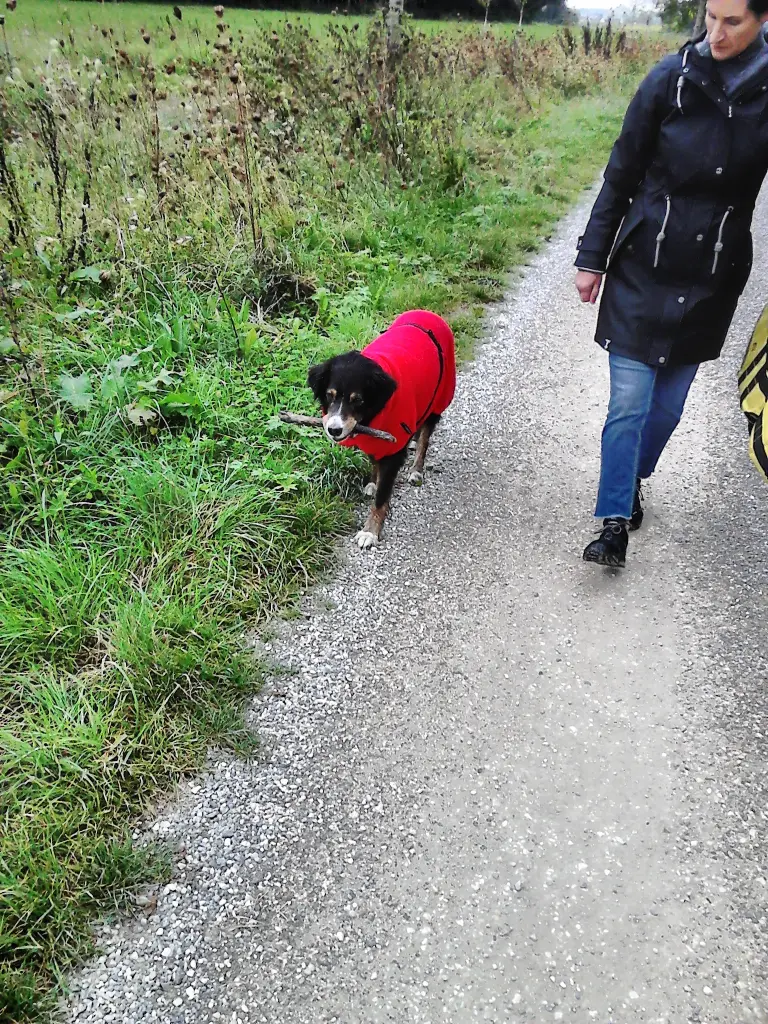 Condolence image of Fraule in Liebe