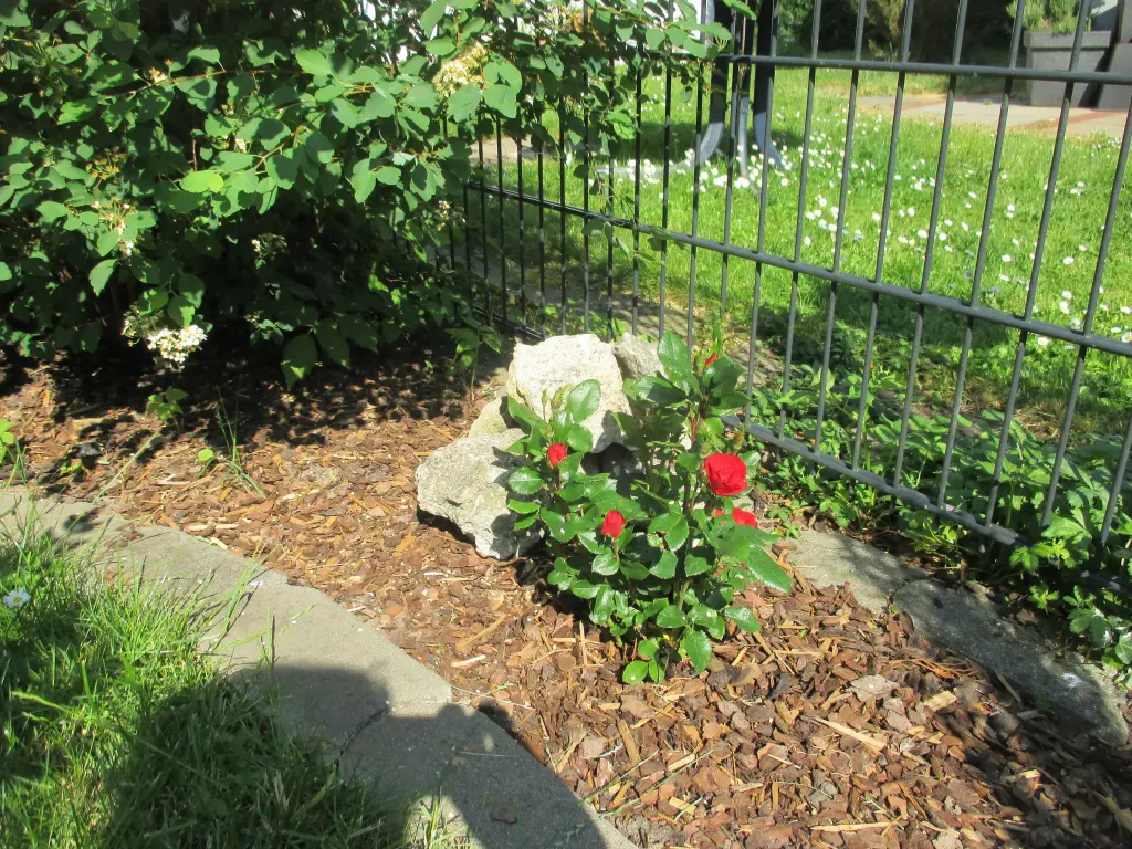 Condolence image of Herrle