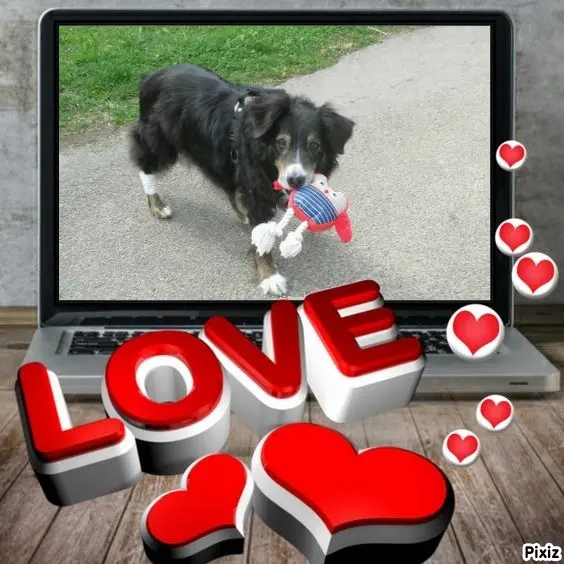 Condolence image of Tanja mit Timmy im Herzen 