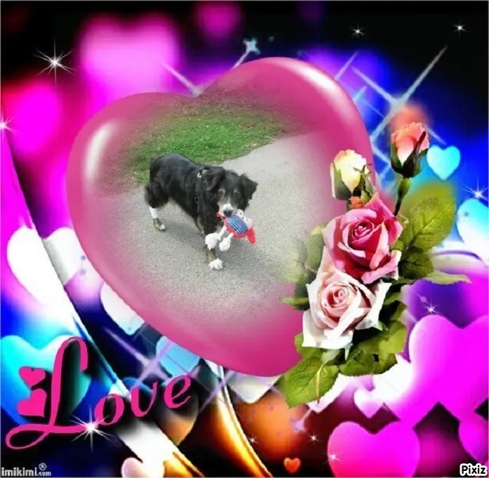 Condolence image of Tanja mit Timmy im Herzen 