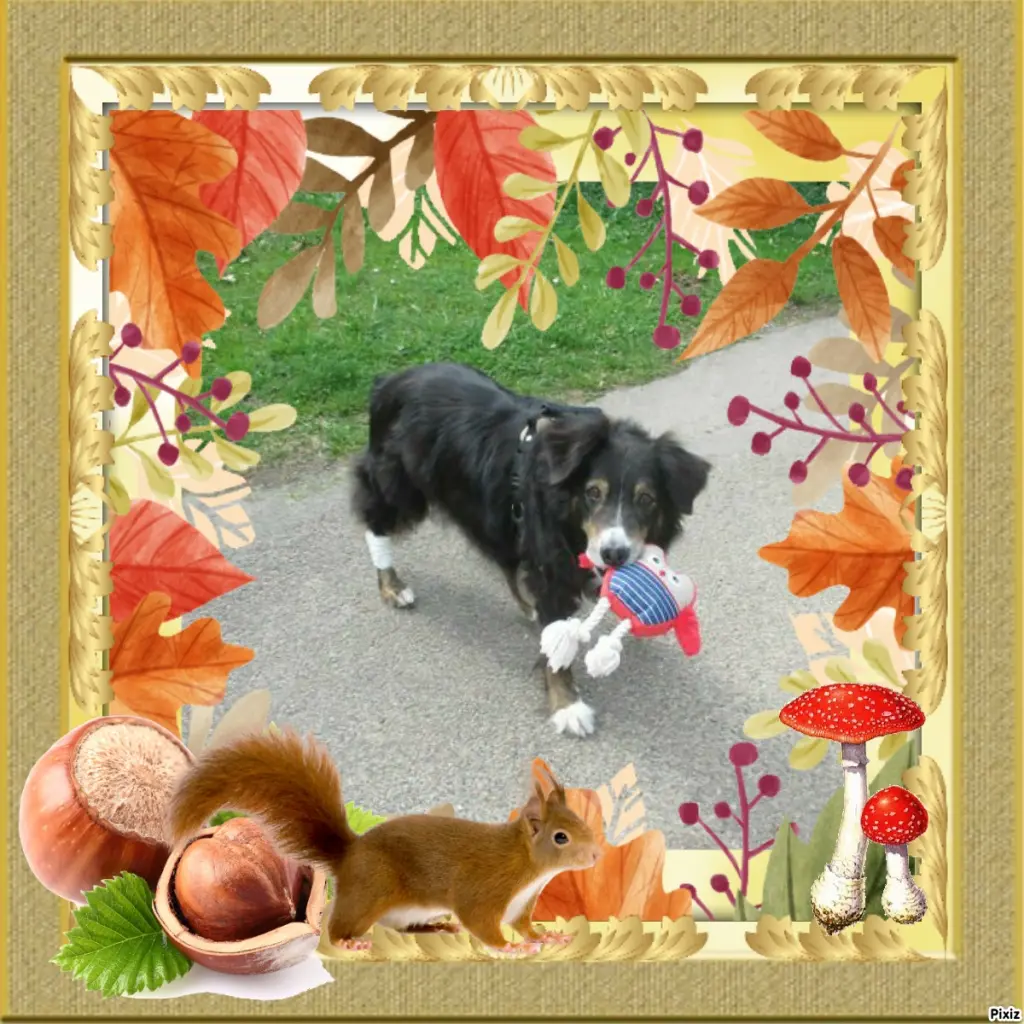 Condolence image of Tanja mit Timmy im Herzen 