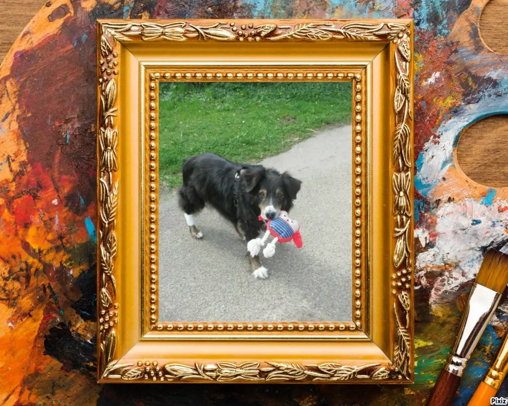 Condolence image of Tanja mit Timmy im Herzen 