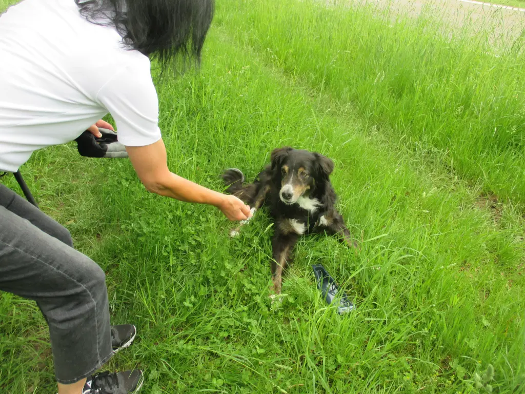 Condolence image of Fraule in Liebe