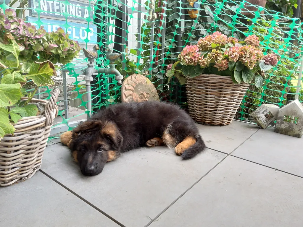 Condolence image of Silke und Gila