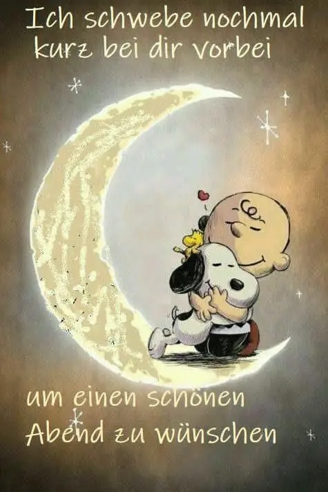 Condolence image of Martina mit Seelenhund Samy ♥️⭐♥️ für immer im Herzen 