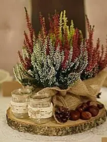 Condolence image of Martina mit Seelenhund Samy ♥️⭐♥️ für immer im Herzen 