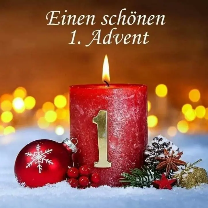 Condolence image of Martina mit Seelenhund Samy ♥️⭐♥️ für immer im Herzen