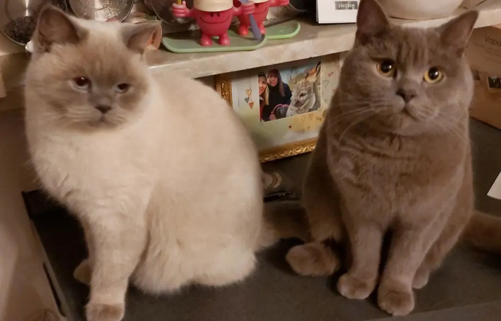 Condolence image of Von Silke mit Mia im ♥️