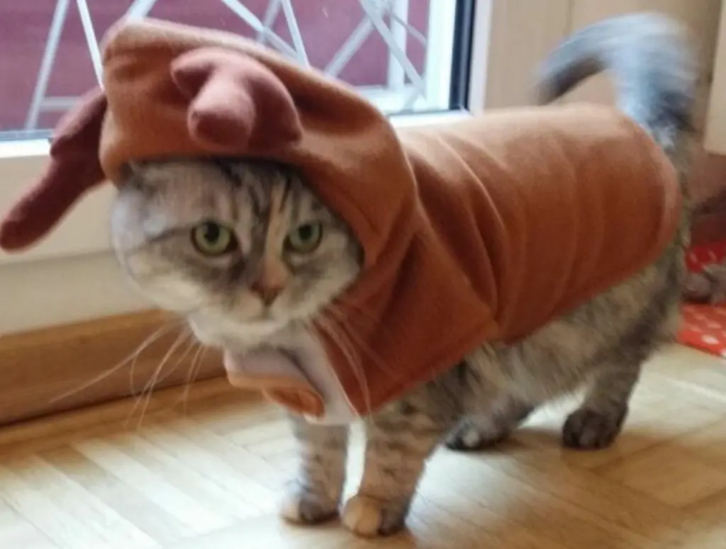 Condolence image of Vielen Dank ♥️