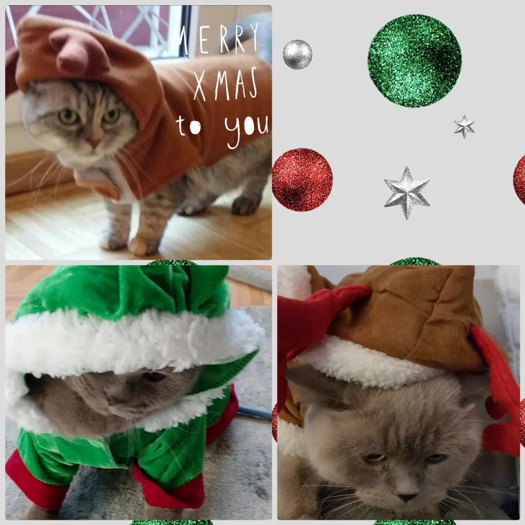 Condolence image of Frohe Weihnachten 