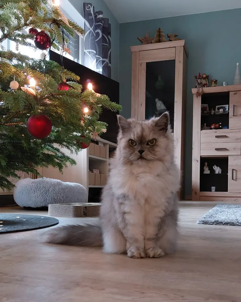 Condolence image of von Leonie ❤️ an Artax und Renate