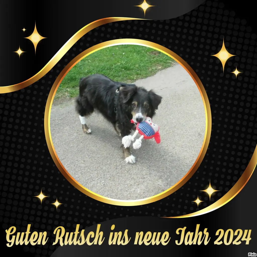 Condolence image of Tanja mit Timmy im Herzen