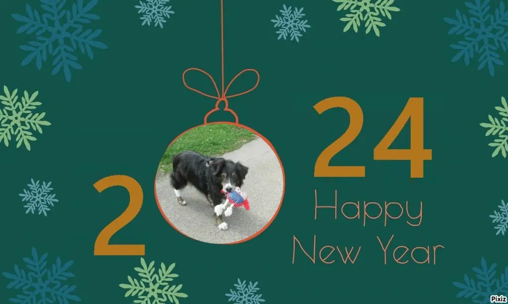 Condolence image of Tanja mit Timmy im Herzen 