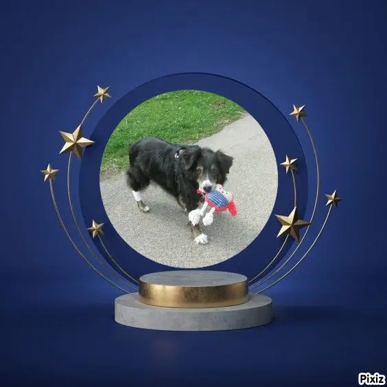 Condolence image of Tanja mit Timmy im Herzen 