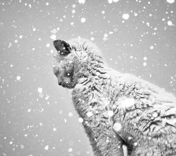 Condolence image of Von Silke mit Mia im ♥️