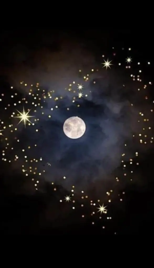 Condolence image of Für den lieben Artax ♥️⭐♥️