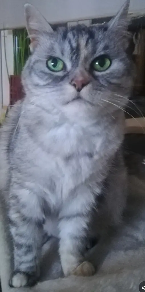 Condolence image of Bubele Tag ♥️