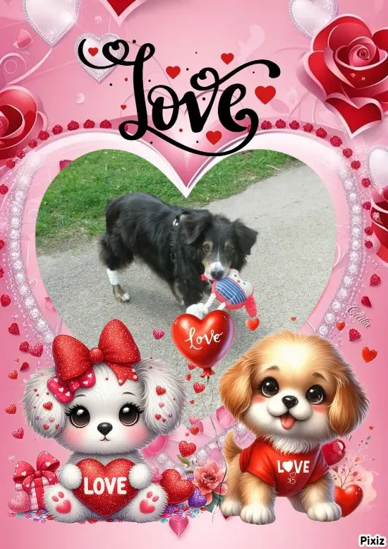 Condolence image of Tanja mit Timmy im Herzen 