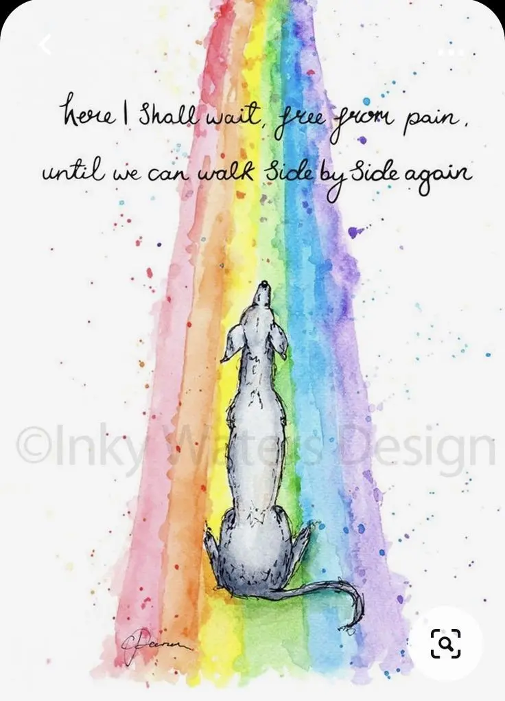 Condolence image of Sternchenpost ♥️