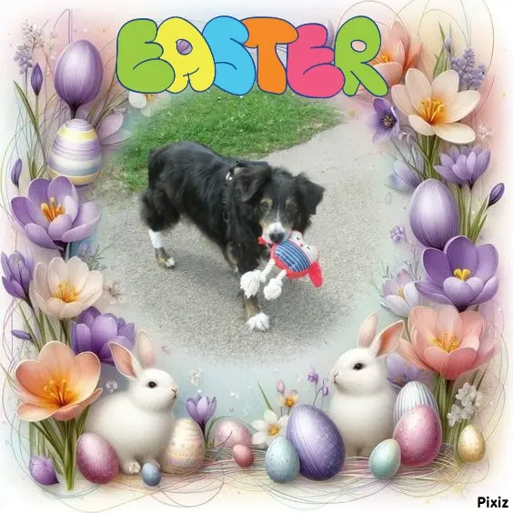 Condolence image of Tanja mit Timmy im Herzen 