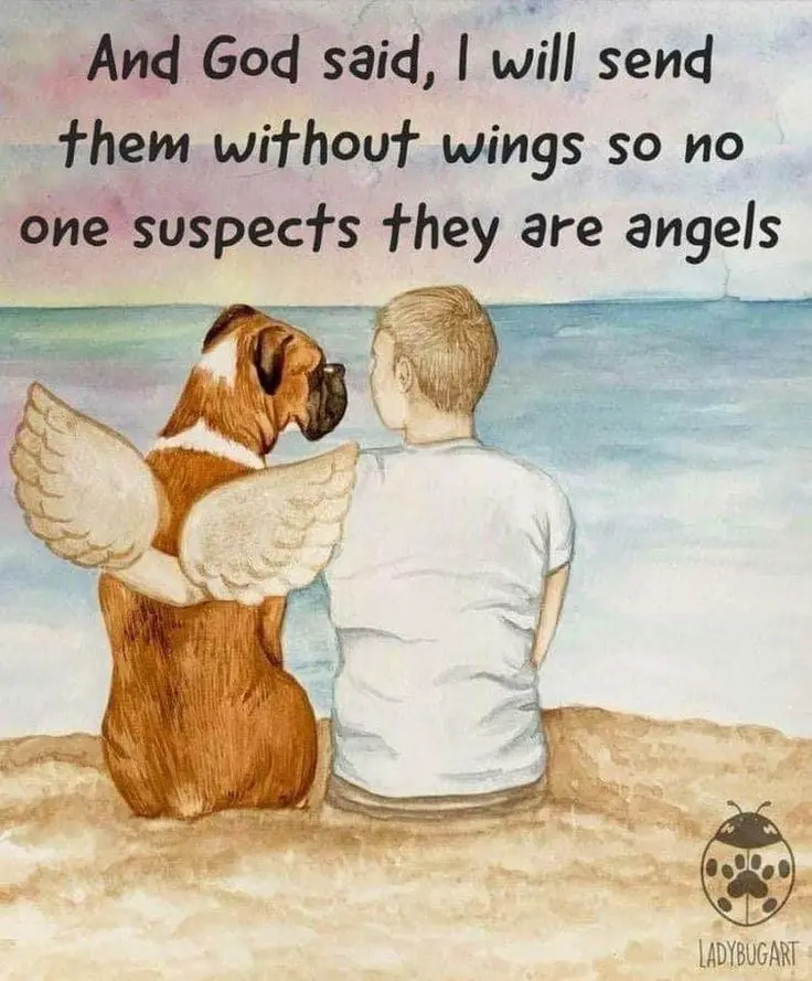 Condolence image of Von Sternchen ♥️zu Sternchen 