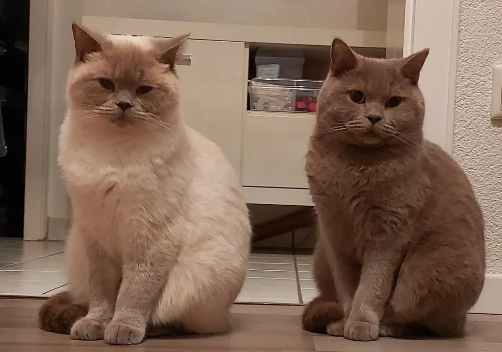 Condolence image of Post