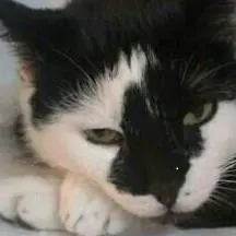 Condolence image of Snoopy❤Pünktchen