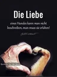 Condolence image of Snoopy❤Pünktchen 