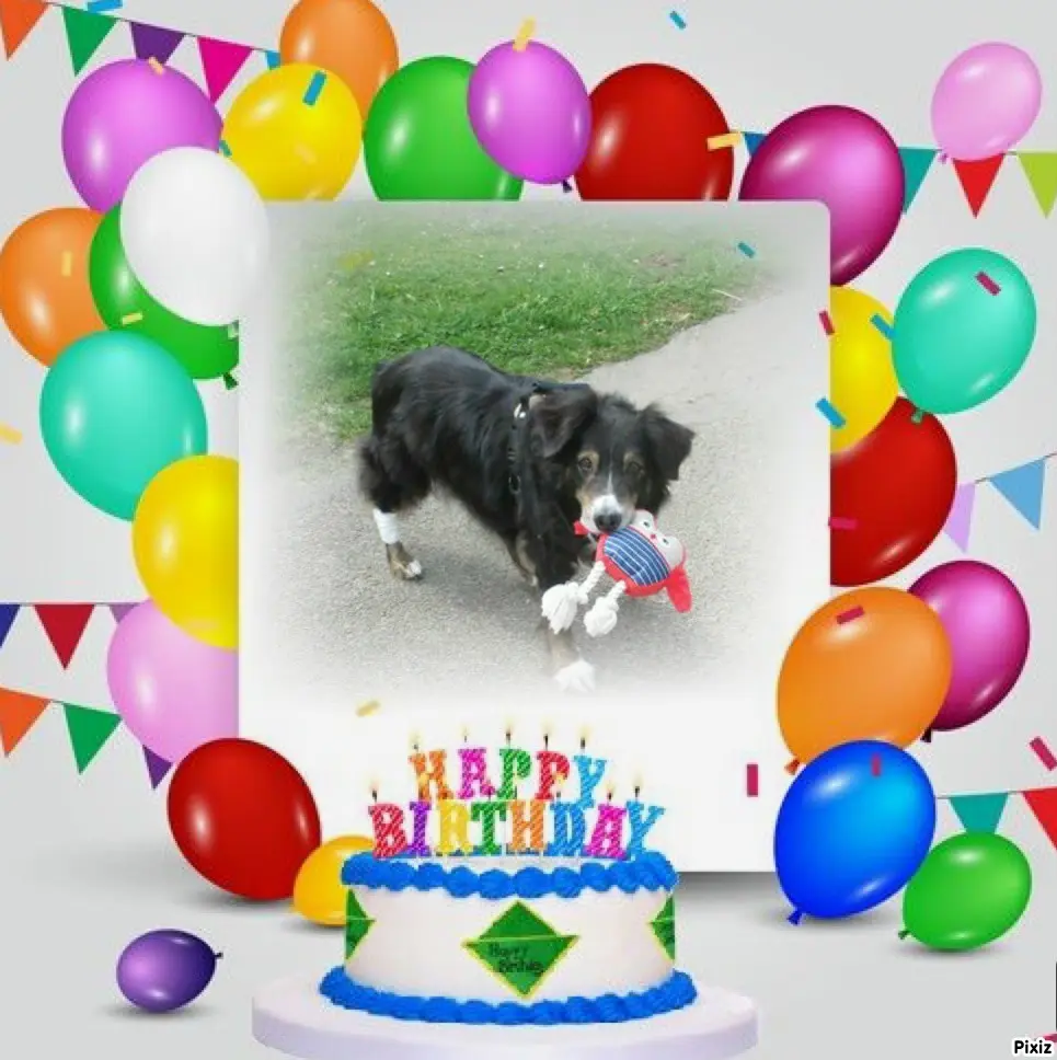 Condolence image of Tanja mit Timmy im Herzen 