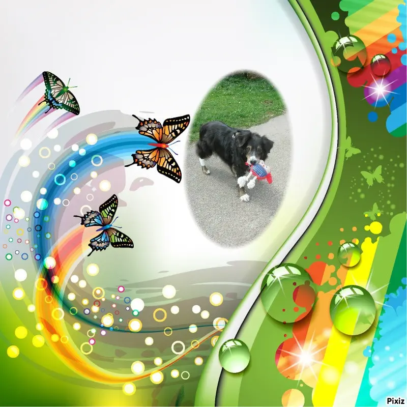 Condolence image of Tanja mit Timmy im Herzen 