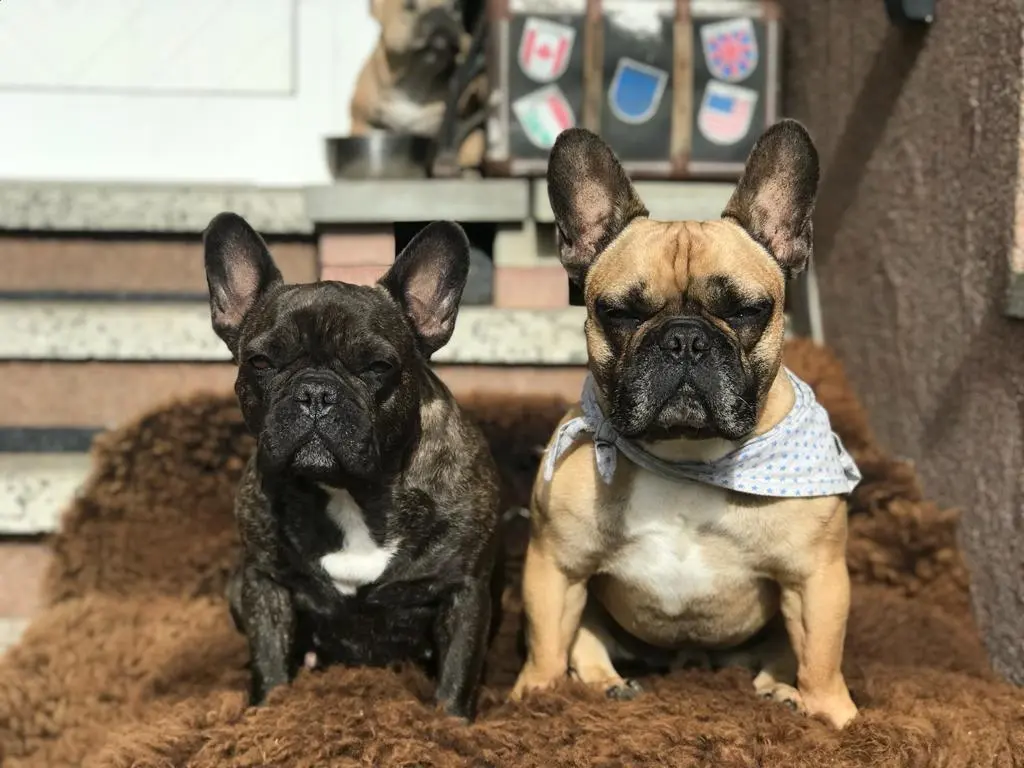 Condolence image of Familie von Odin