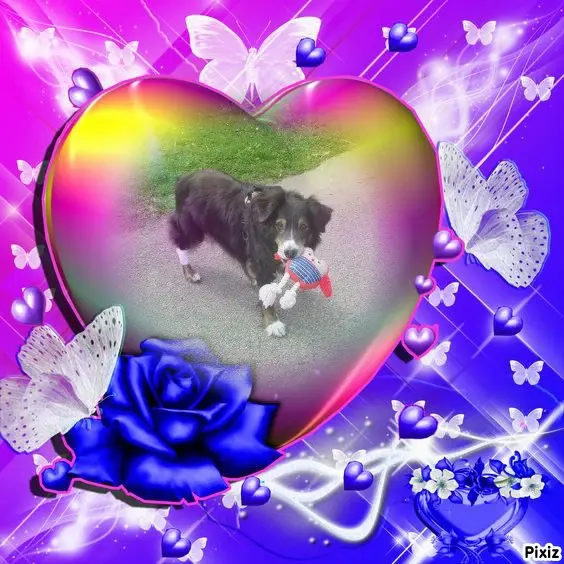 Condolence image of Tanja mit Timmy im Herzen 