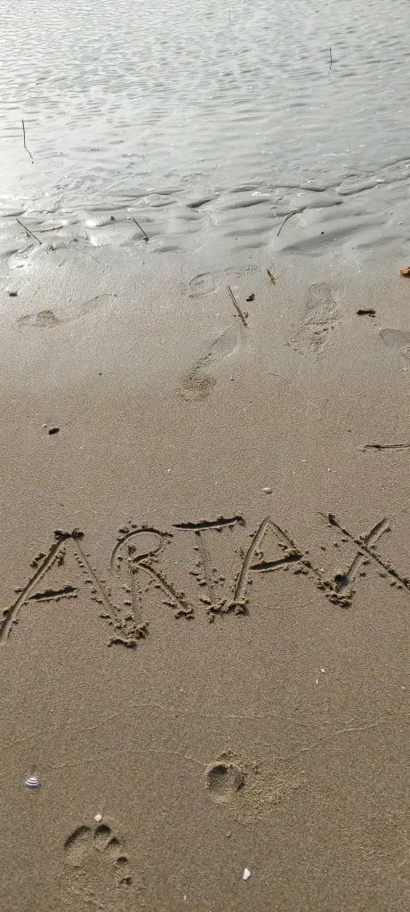 Condolence image of Dein Name...