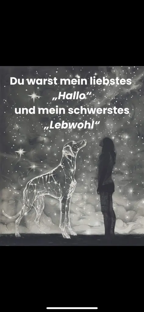 Condolence image of Für unseren Freund Bubele zum Mittwoch 