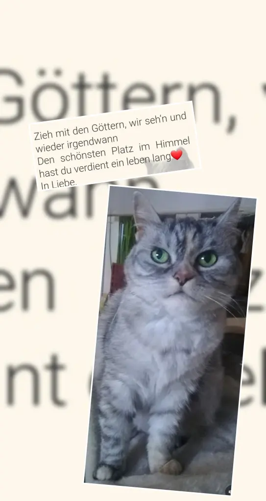 Condolence image of Alles Gute