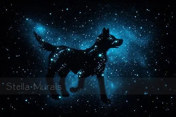 Condolence image of Gedanken zur Nacht