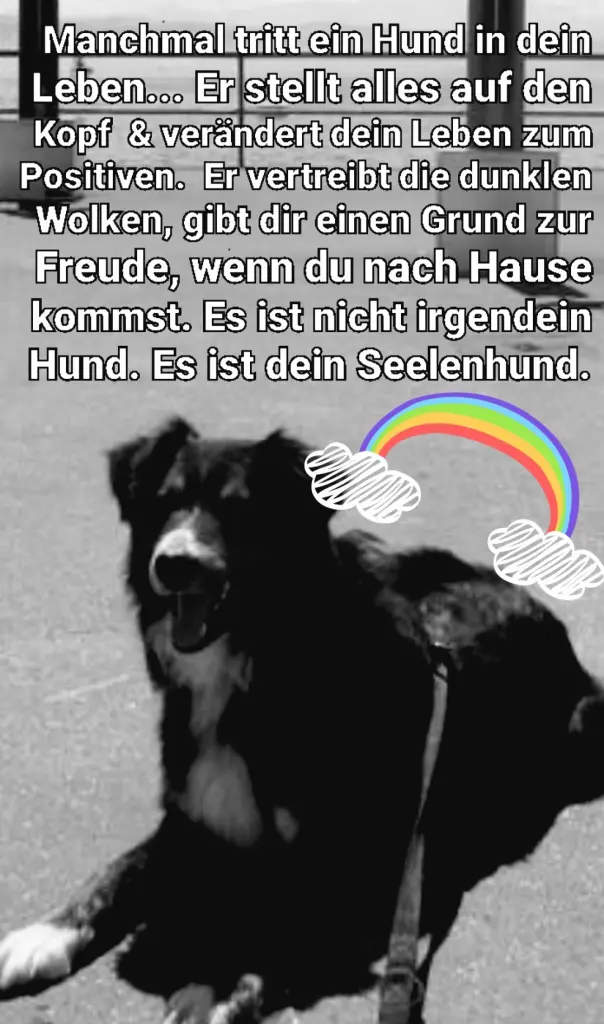 Condolence image of Silke mit Mia im Herzen