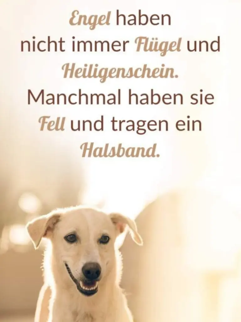 Condolence image of Von Mama Mia 