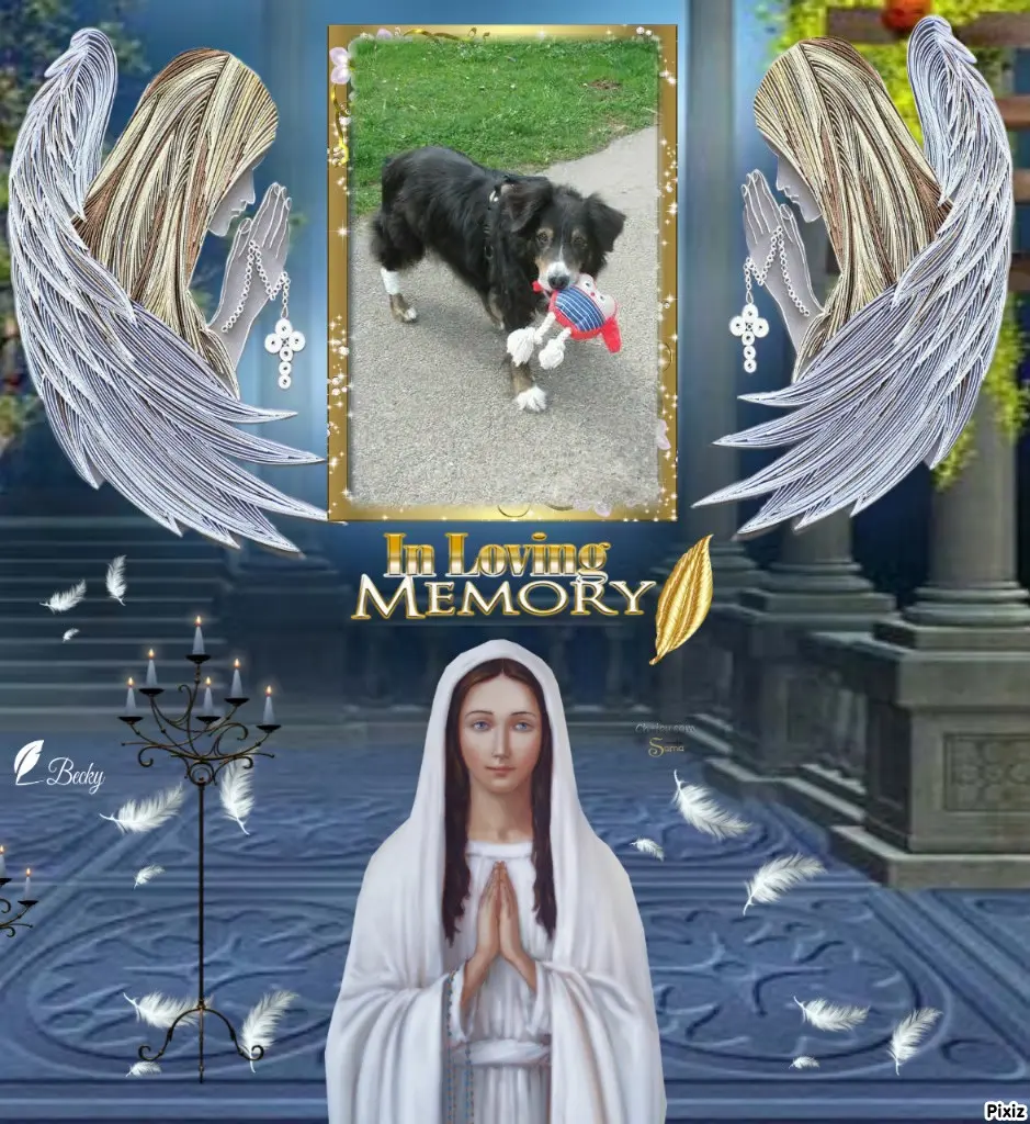 Condolence image of Tanja mit Timmy im Herzen 