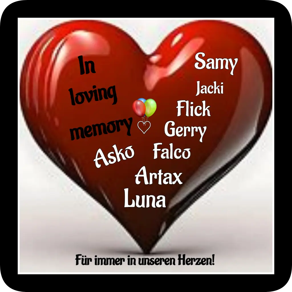 Condolence image of Martina mit Seelenhund Samy ♥️⭐♥️