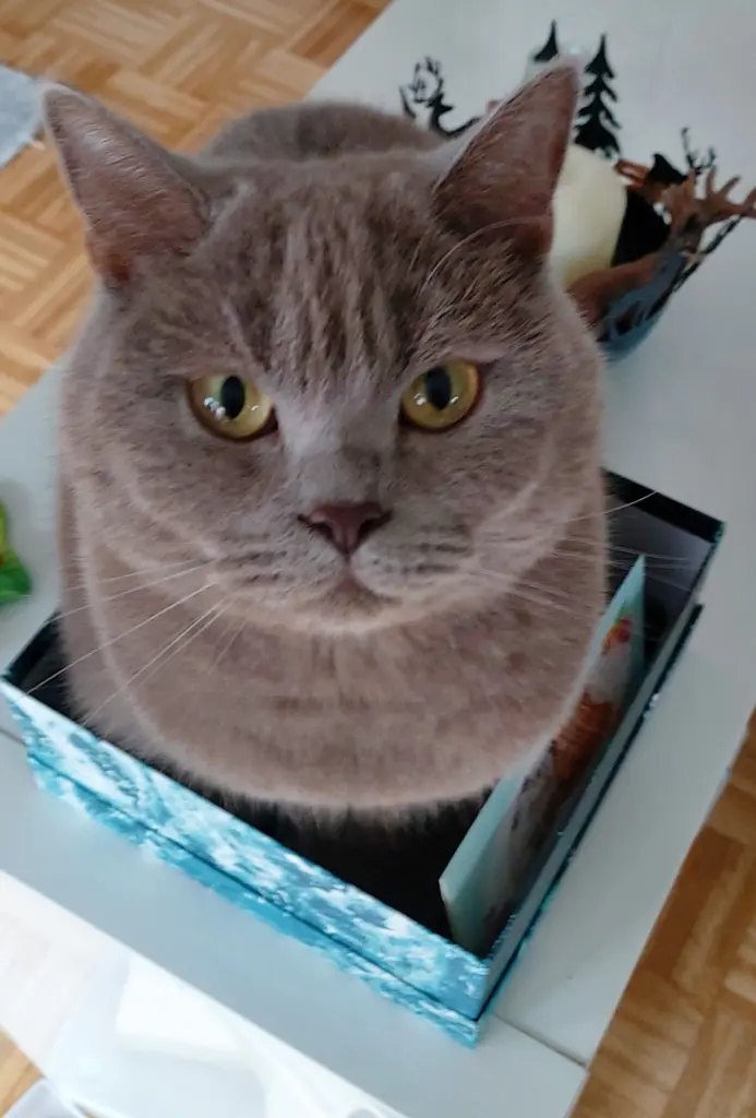 Condolence image of Vielen Dank ♥️