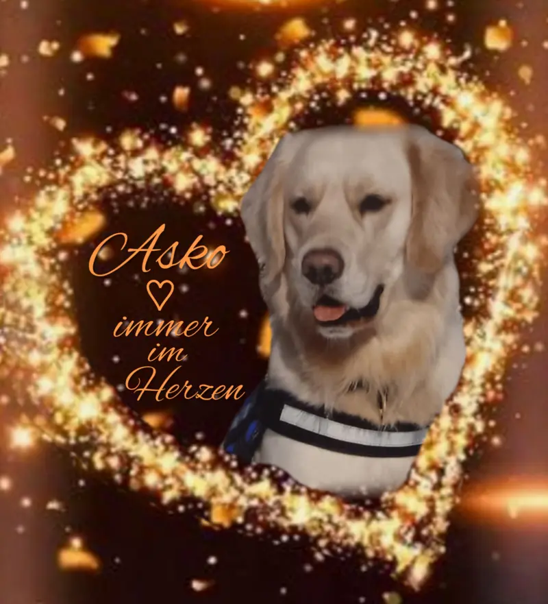 Condolence image of Claudia mit ASKO❤️ 