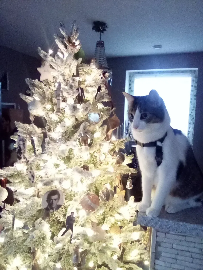 Condolence image of Beate mit Elvis im Herzen ❤