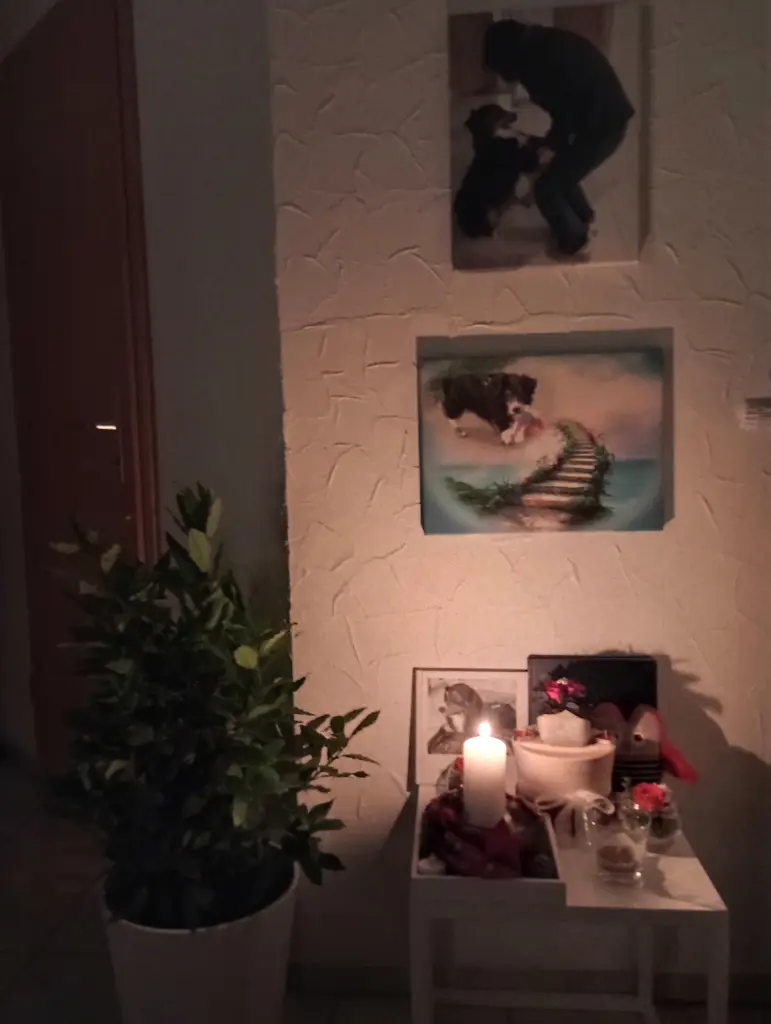 Condolence image of Fraule in Liebe