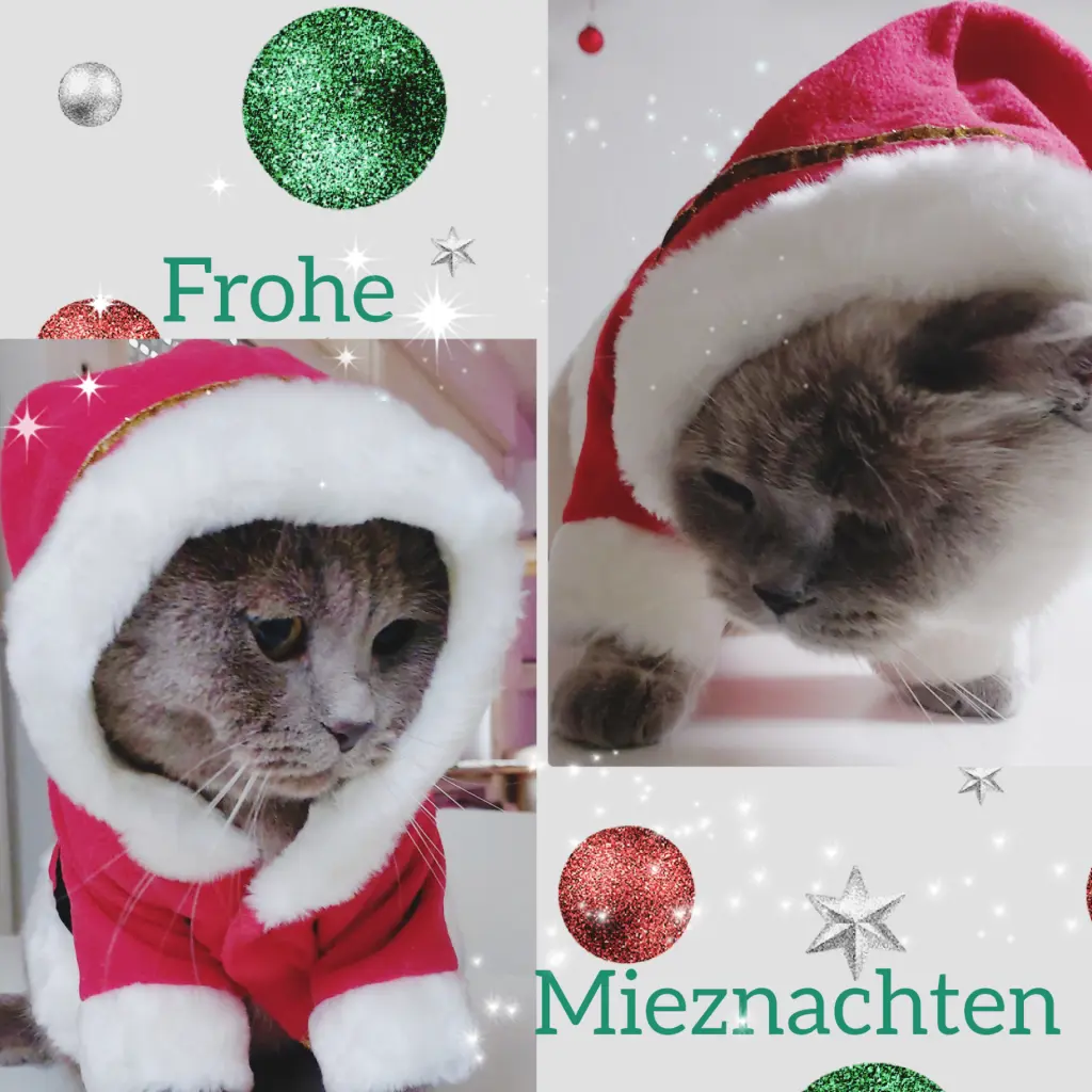 Condolence image of Silke mit Mia im Herzen 