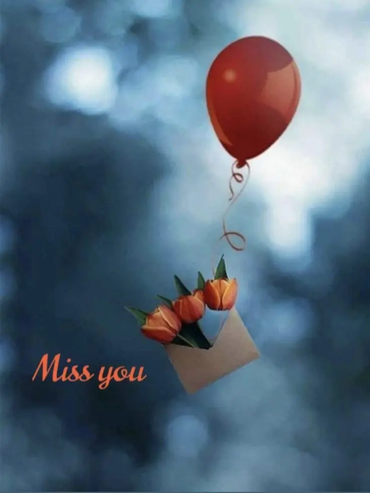 Condolence image of Von Silke mit Mia im ♥️