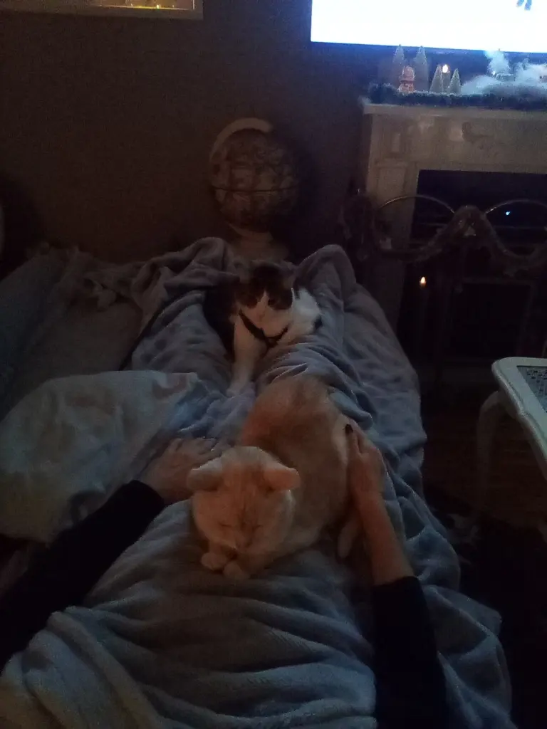 Condolence image of Beate mit Elvis im Herzen ❤