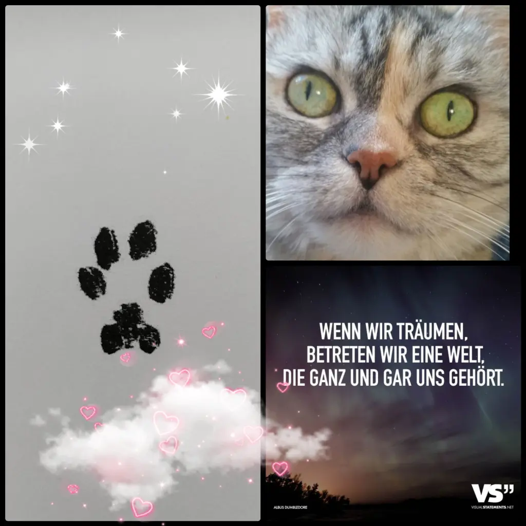 Condolence image of Silke mit Mia auf ewig ♥️