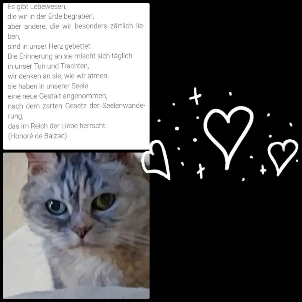 Condolence image of Danke♥️